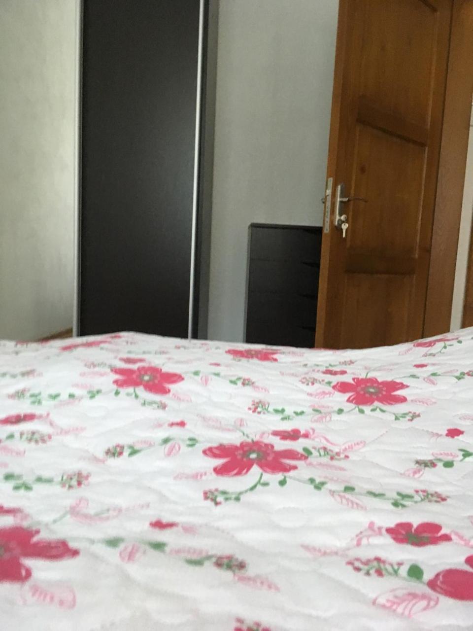 Apartaments In Karpaty Mizhhirya  Exterior photo