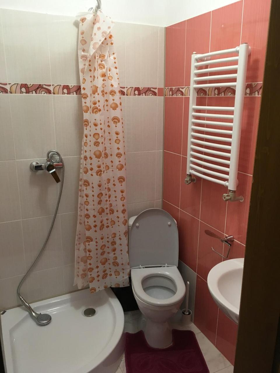 Apartaments In Karpaty Mizhhirya  Exterior photo