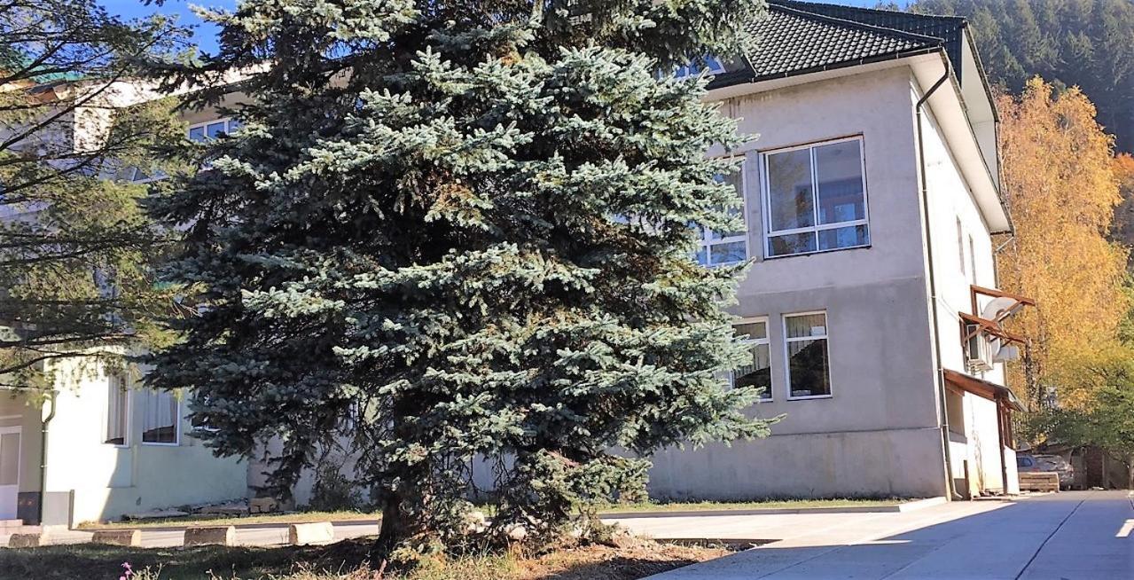 Apartaments In Karpaty Mizhhirya  Exterior photo